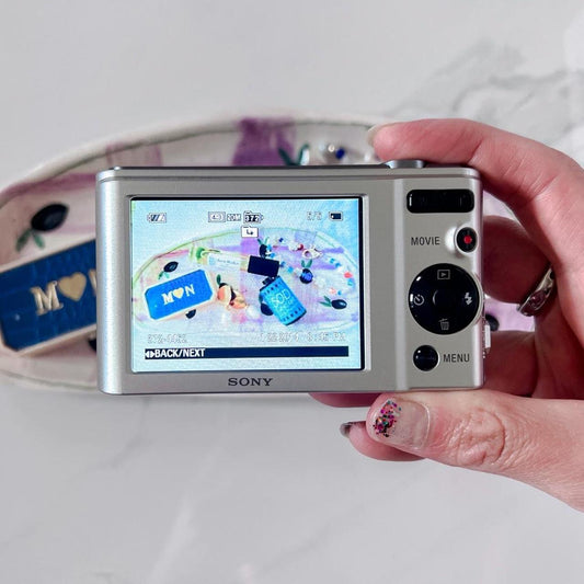 Sony Silver and Grey Cameras-and-accessories
