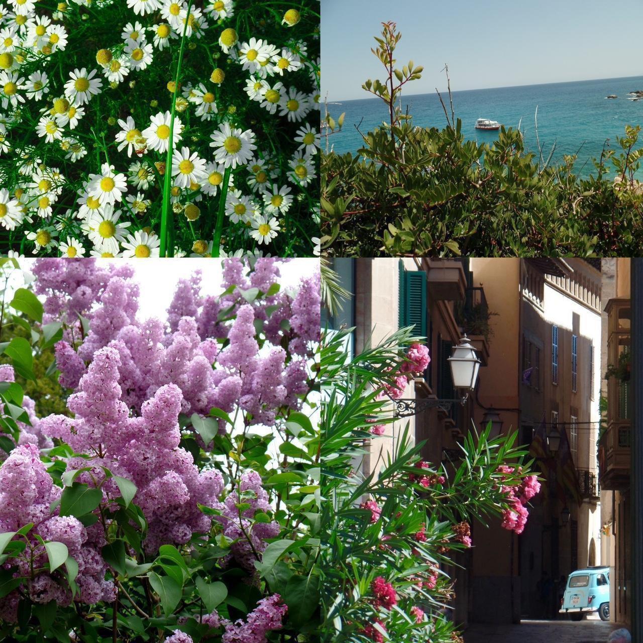 Samsung WB380F β 16.3MP Retro Y2K Camera π€β¨ 21Γ Zoom & Full HD Video