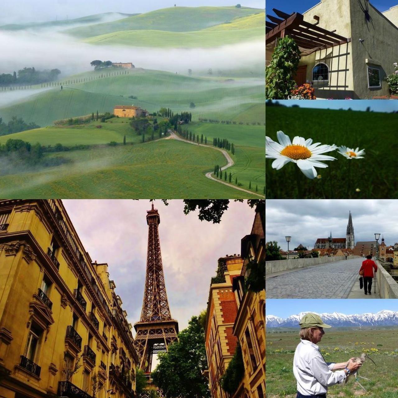 Panasonic Lumix ZS19 – 14MP Leica Lens Retro Camera ✨ 20× Zoom & Full HD Video