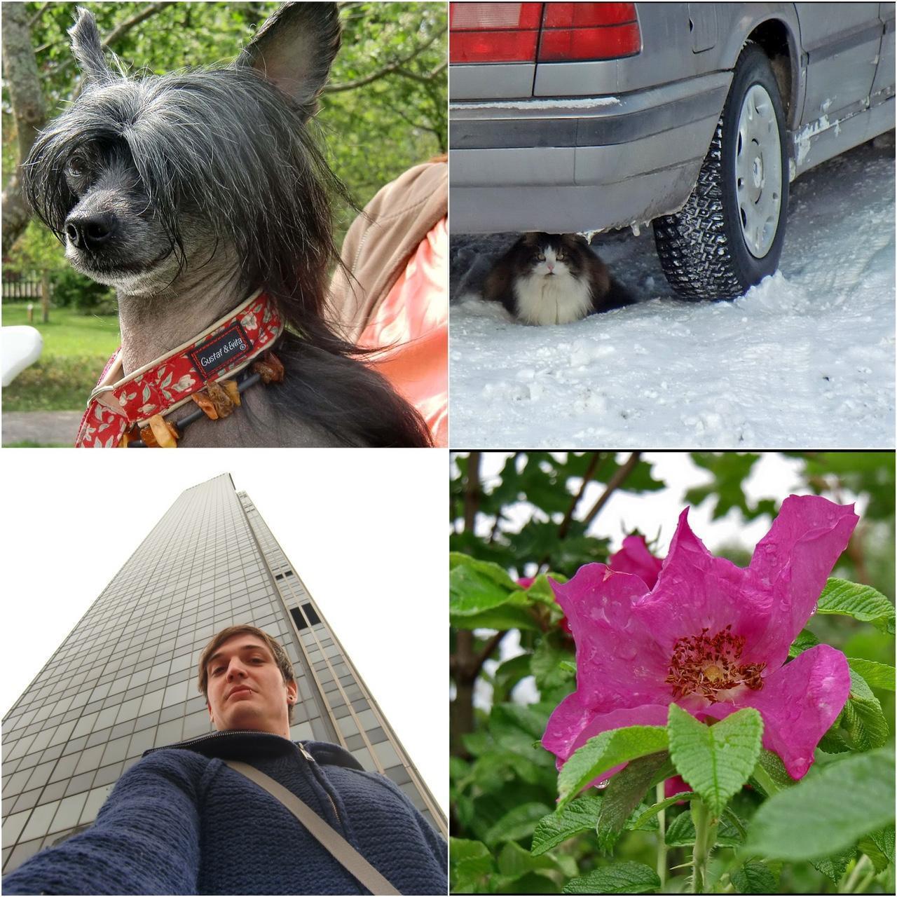 Used Digital Camera | Casio Exilim H15 Digital Camera | Complete Set