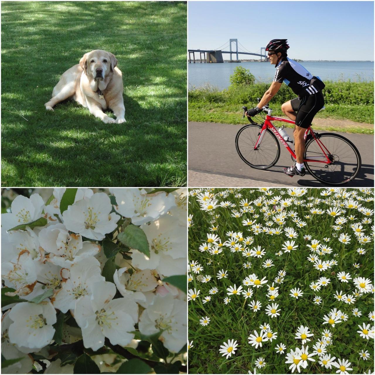 Used Digital Camera | Sony CyberShot W560 Digital Camera | Complete Set