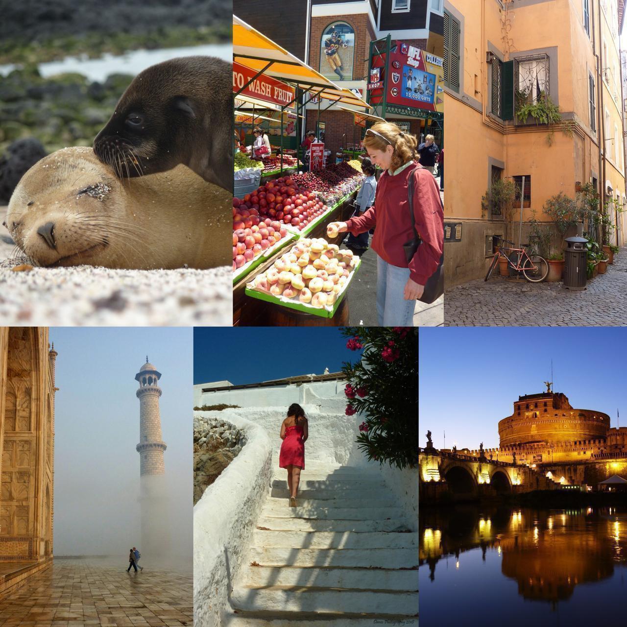 Panasonic Lumix DMC-TZ3 – Leica Lens Retro Y2K Camera 🎞✨ Used in “Just Your Doll” MV