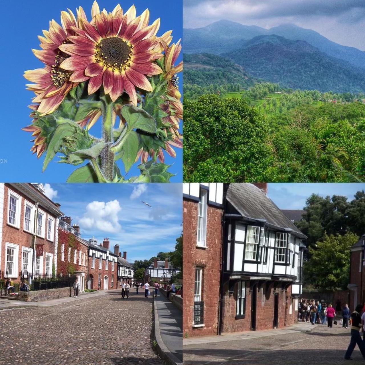 Kodak EasyShare M380 – 10MP Cherry Red Retro Y2K Camera 🍒✨ Video & Scene Modes