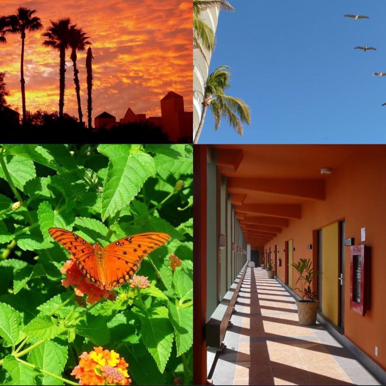 Panasonic Lumix DMC-TZ1 – 5MP Leica Lens Retro Y2K Camera ✨ 10× Zoom & Vintage Glow