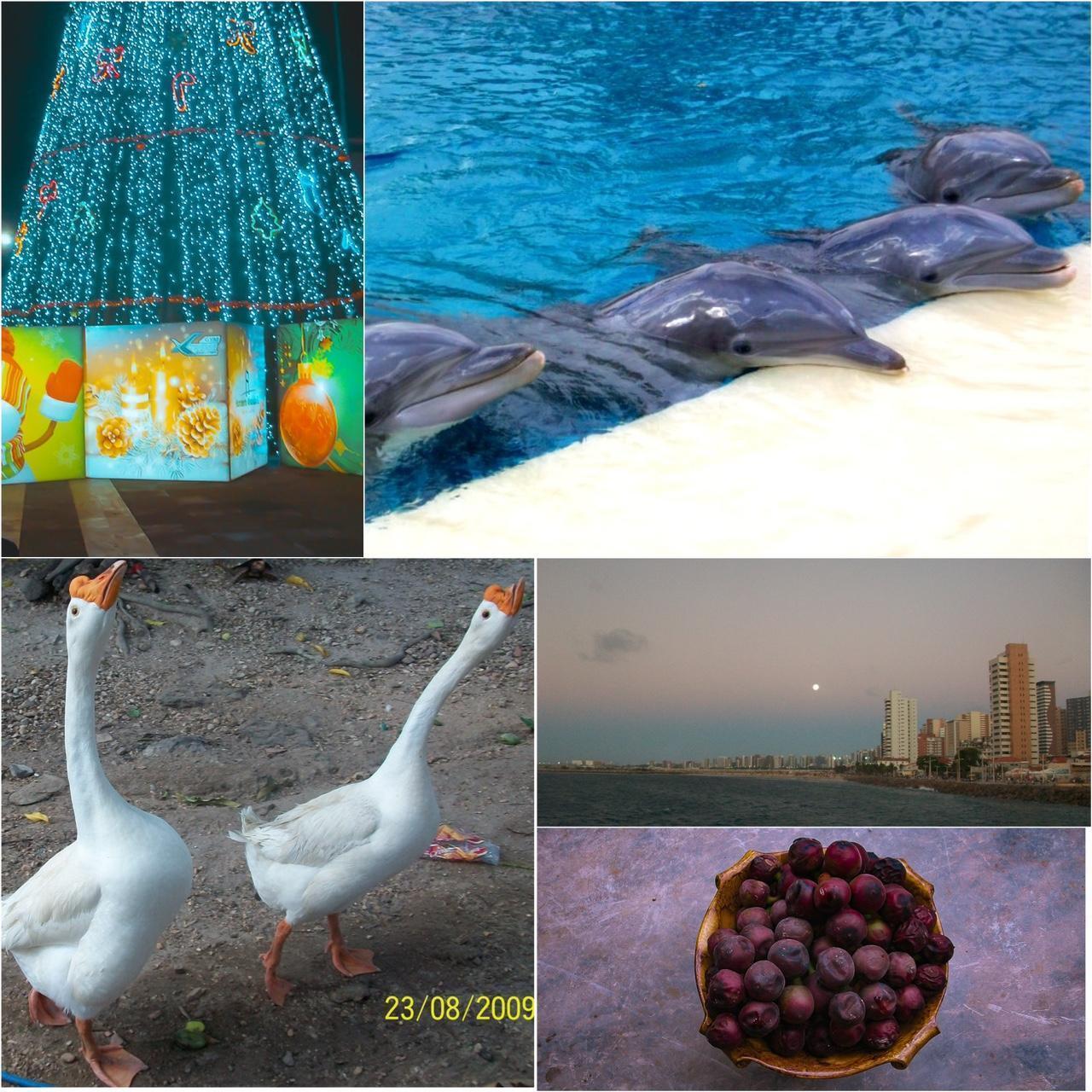 Used Digital Camera | Kodak EasyShare M320 Digital Camera | Complete Set