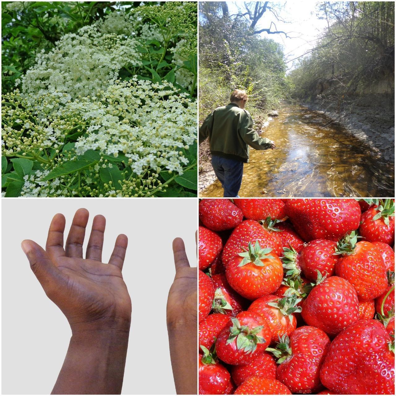 Used Digital Camera | Sony CyberShot H90 Digital Camera | Complete Set