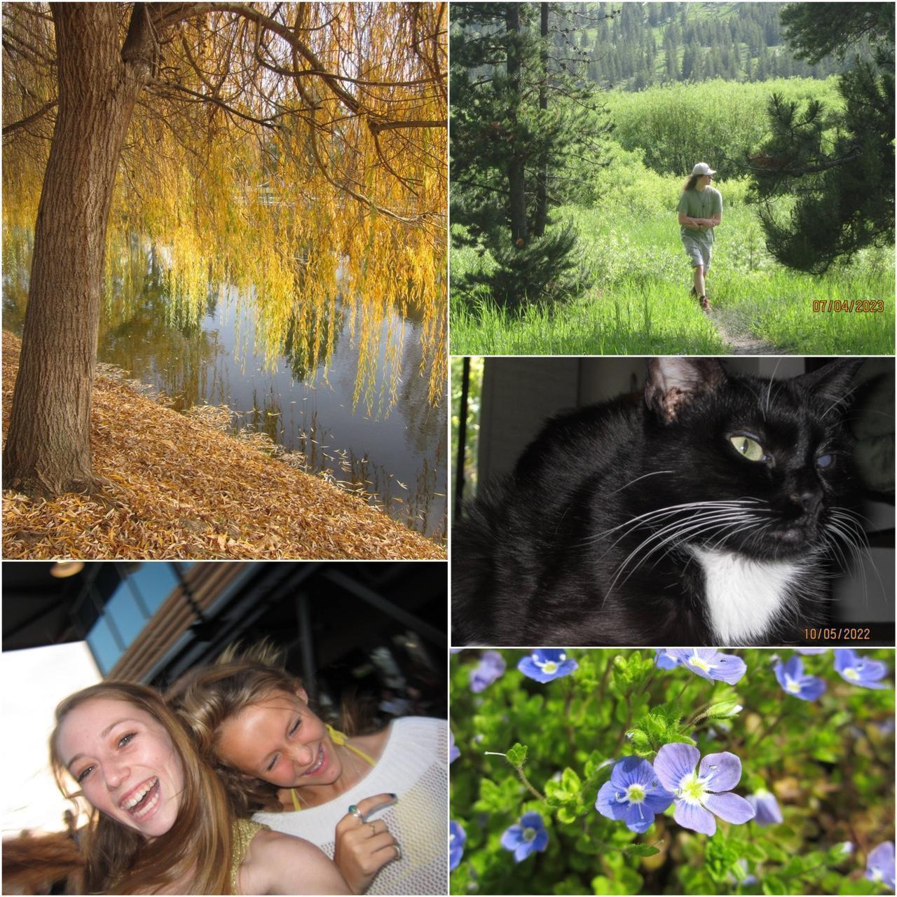 Used Digital Camera | Canon Powershot A2200 Digital Camera | Complete Set