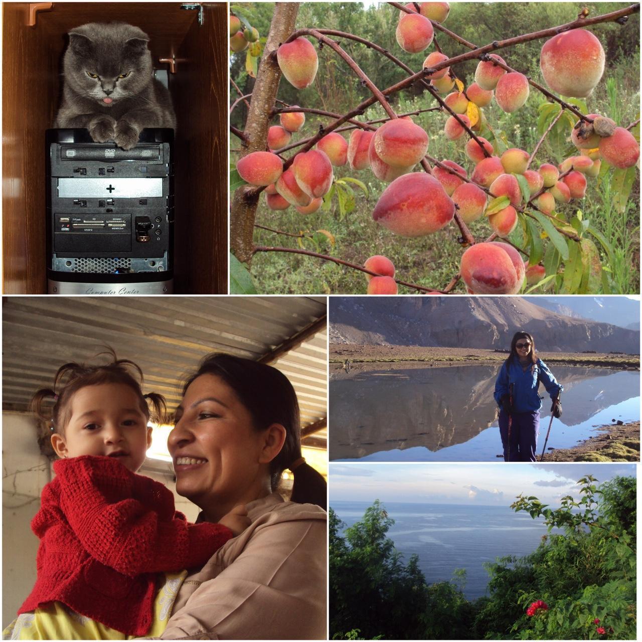 Used Digital Camera | Sony Cybershot S930 Digital Camera | Complete Set